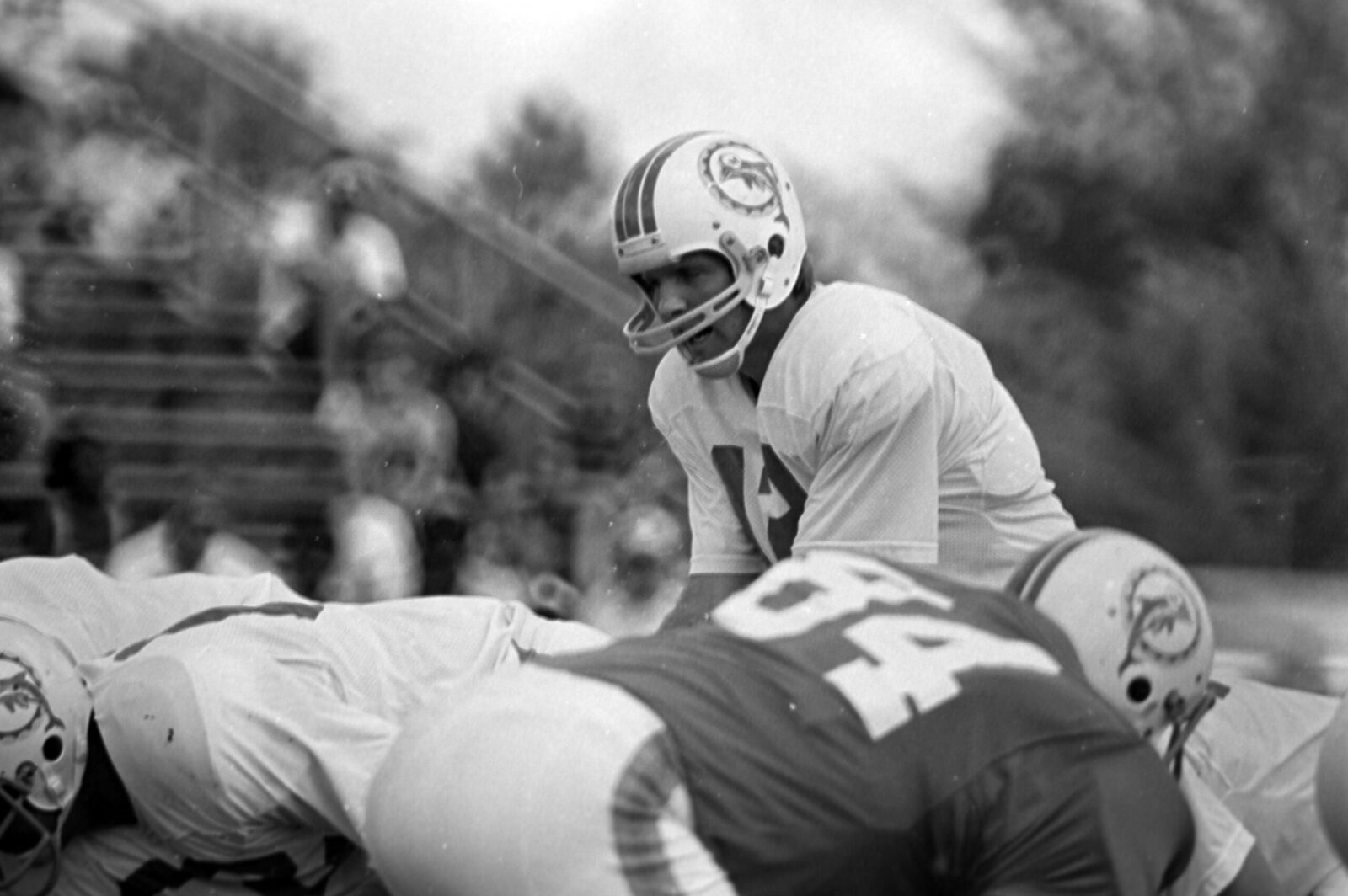 1972 Miami Dolphins: The inside story of the only perfect season in NFL  history